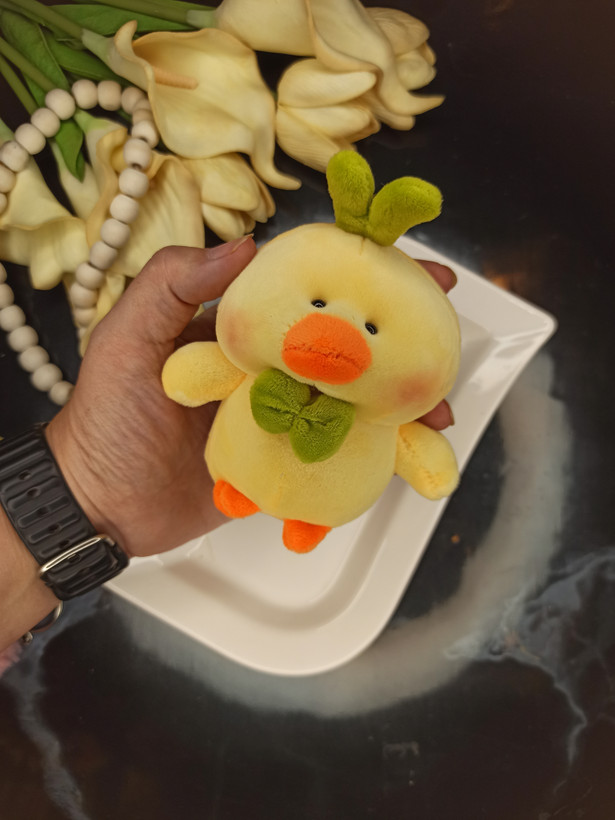 جاکلیدی و چارم بگ عروسکی جوجه